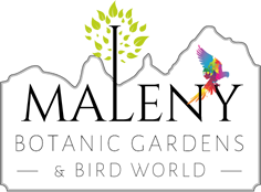 Maleny Botanic Gardens & Bird World